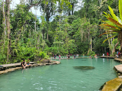 ป่าต้นน้ำบ้านน้ำราด