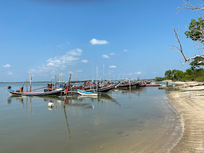 สุราษฎร์ธานี